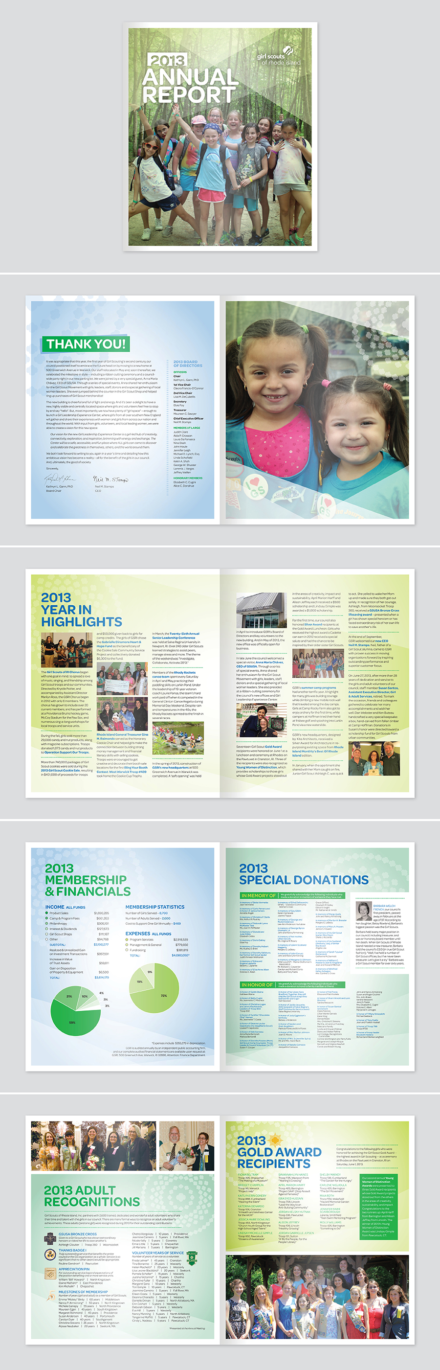 GSRI_AnnualReport2013